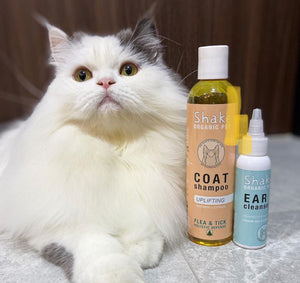 White cat with organic shampoo